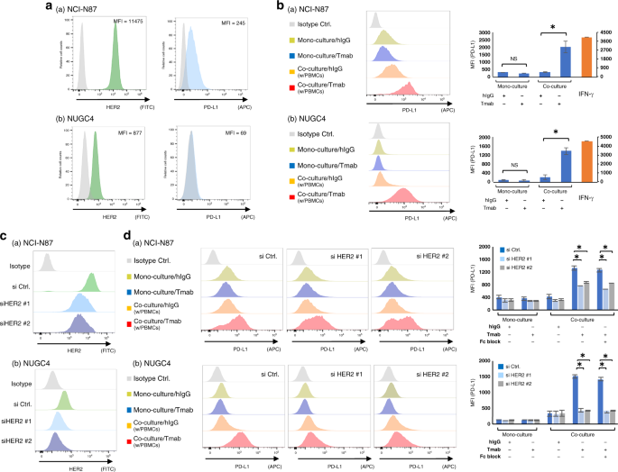 Trastuzumab upregulates programmed death ligand-1 expression through interaction with nk cells in gastric cancer