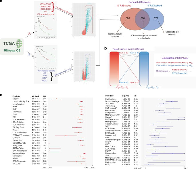 A Balance Score Between Immune Stimulatory And Suppressive Microenvironments Identifies Mediators Of Tumour Immunity And Predicts Pan Cancer Survival British Journal Of Cancer