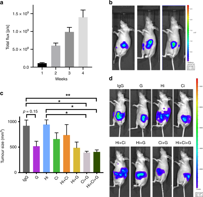 dihexa cancer risk hgf c-met Targeting the HGF/c-MET pathway in advanced pancreatic cancer: a key element of treatment that limits primary tumour growth and eliminates metastasis bpc 157 for knee tissue-repair Flavor:Pineapple Coconut