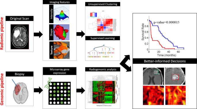 Radiomics And Radiogenomics In Gliomas A Contemporary Update British Journal Of Cancer Radiomics And Radiogenomics In Gliomas A Contemporary Update British Journal Of Cancer