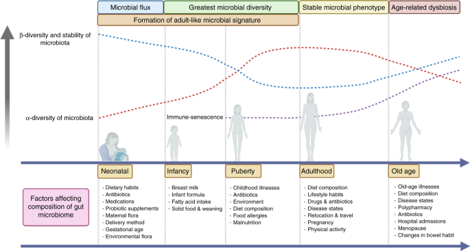 The Gut Microbiome What The Oncologist Ought To Know British Journal Of Cancer