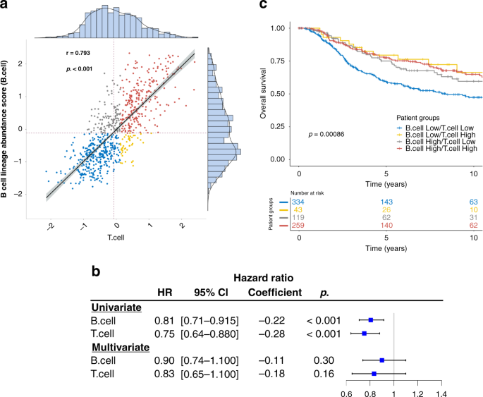 B cell-related gene signature and cancer immunotherapy response