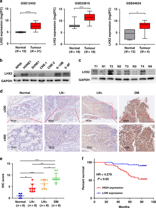 LHX2 facilitates the progression of nasopharyngeal carcinoma via activation  of the FGF1/FGFR axis | British Journal of Cancer