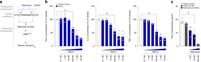 Impact of the selective a2ar and a2br dual antagonist ab928/etrumadenant on car t cell function