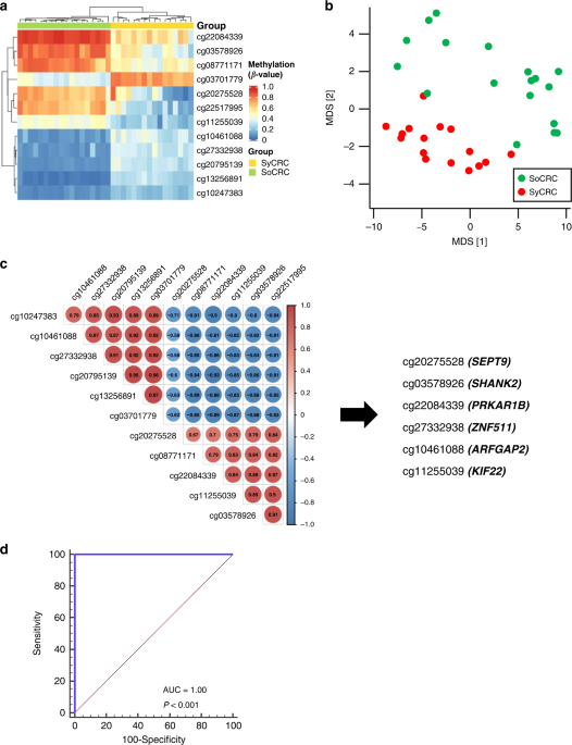 Genome-Wide Methylation Profiling Identifies A Novel Gene.