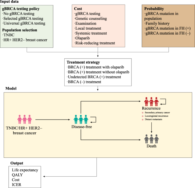 Effects of BRCA2 cis-regulation in normal breast and cancer risk amongst  BRCA2 mutation carriers, Breast Cancer Research