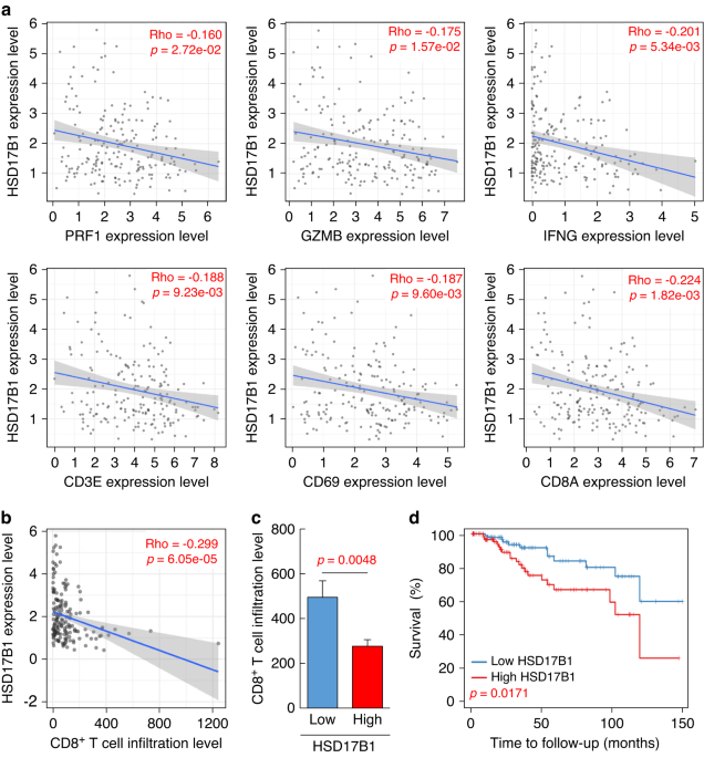 Blocking of oestrogen signals improves anti-tumour effect regardless of oestrogen receptor alpha expression in cancer cells