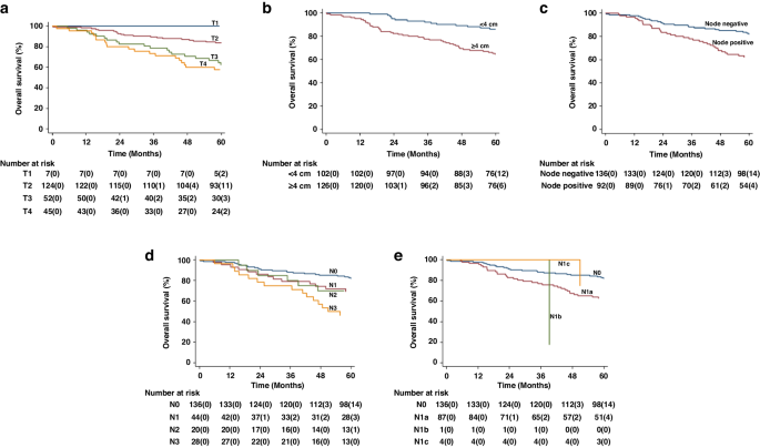 Pre-treatment magnetic resonance imaging in anal cancer: large-scale  evaluation of mrT, mrN and novel staging parameters | British Journal of  Cancer