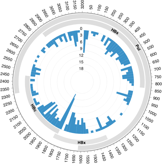 Unraveling the role of hepatitis B virus DNA integration in B-cell ...