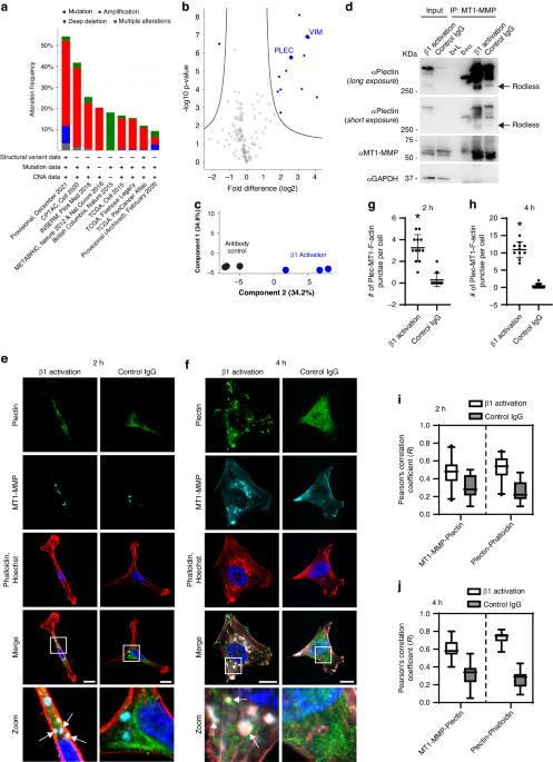 Cancer cell extravasation requires iplectin-mediated delivery of mt1-mmp at invadopodia