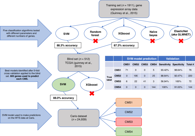 Consensus molecular subtyping of metastatic colorectal cancer expands biomarker-directed therapeutic benefit for patients with cms1 and cms2 tumors