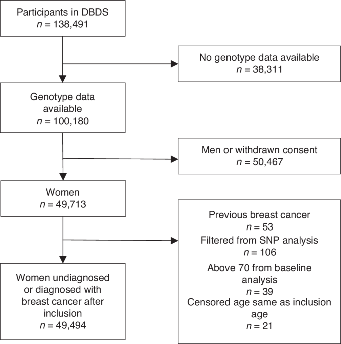Breast cancer risk prediction with a modified BOADICEA model in Danish ...
