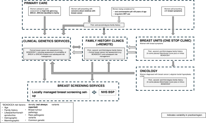 Improving Breast Cancer Risk Assessment Pathways in England: A ...