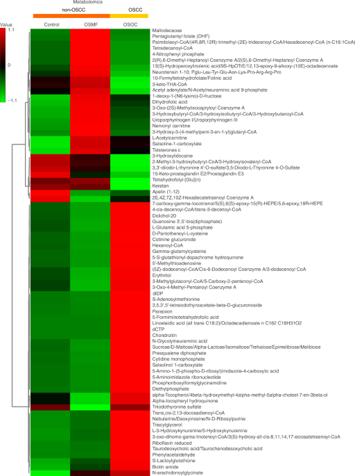 l carnitine injection vs oral When Injectable L-Carnitine Is Chosen Over Supplements for Wellness Support L-Carnitine: Benefits, side effects, and