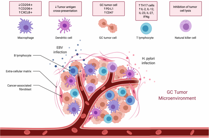 Search Results - Gastric cancer review 