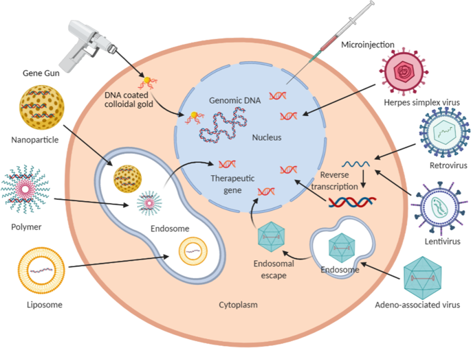 hpv gene therapy