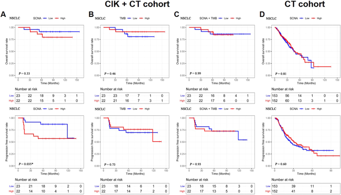 Somatic copy number alteration predicts clinical benefit of lung  adenocarcinoma patients treated with cytokine-induced killer plus  chemotherapy | Cancer Gene Therapy