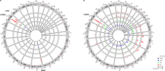Aberrant somatic hypermutation of CCND1 generates non-coding ...