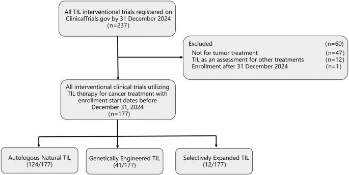 Characteristics and developmental trajectory of clinical trials focused on tumor-infiltrating lymphocytes for cancer treatment - Cancer Gene Therapy