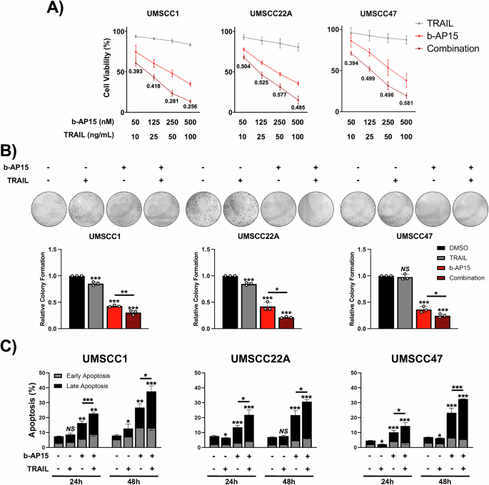 bpc 157 cancer cell growth b-AP15 enhances TRAIL-induced death in HNSCC via the induction of ROS/JNK/DR5 signalling The Peptide Craze - Part