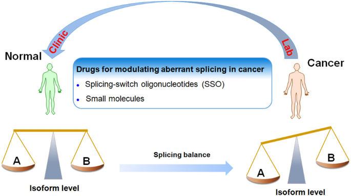 Function, clinical application, and strategies of Pre-mRNA splicing in  cancer | Cell Death & Differentiation