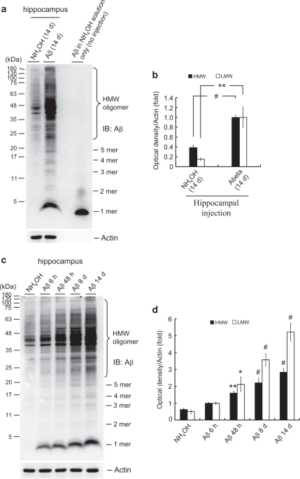 Galectin 3 Promotes Ab Oligomerization And Ab Toxicity In A Mouse Model Of Alzheimer S Disease Cell Death Differentiation