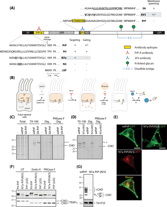 Asan Statement On Media Claims Linking >> Mutant Selective Topologic Conversion Facilitates Selective Asan Statement On Media Claims Linking >> Mutant Selective Topologic Conversion Facilitates Selective
