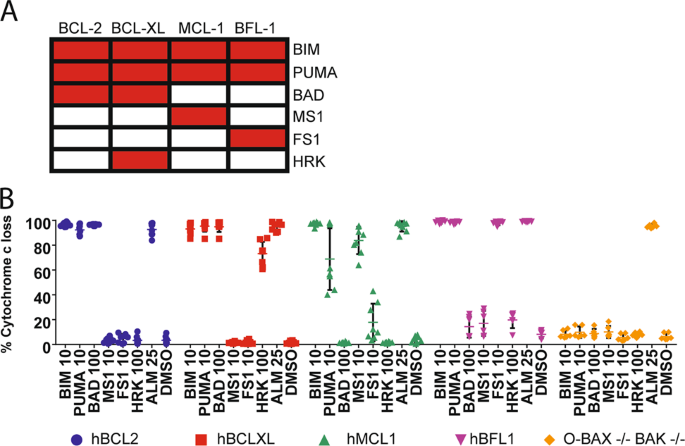 Bh3 Profiling Discriminates On Target Small Molecule Bh3 Mimetics From Putative Mimetics Cell Death Differentiation