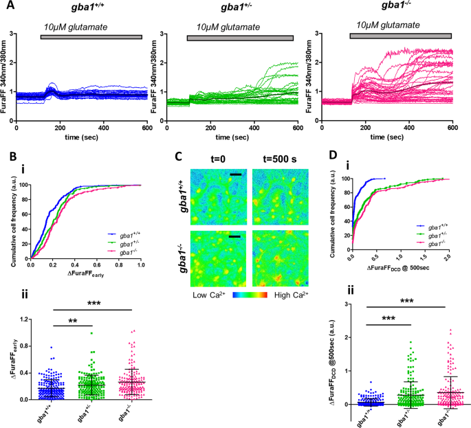 Impaired cellular bioenergetics caused by gba1 depletion sensitizes neurons to calcium overload