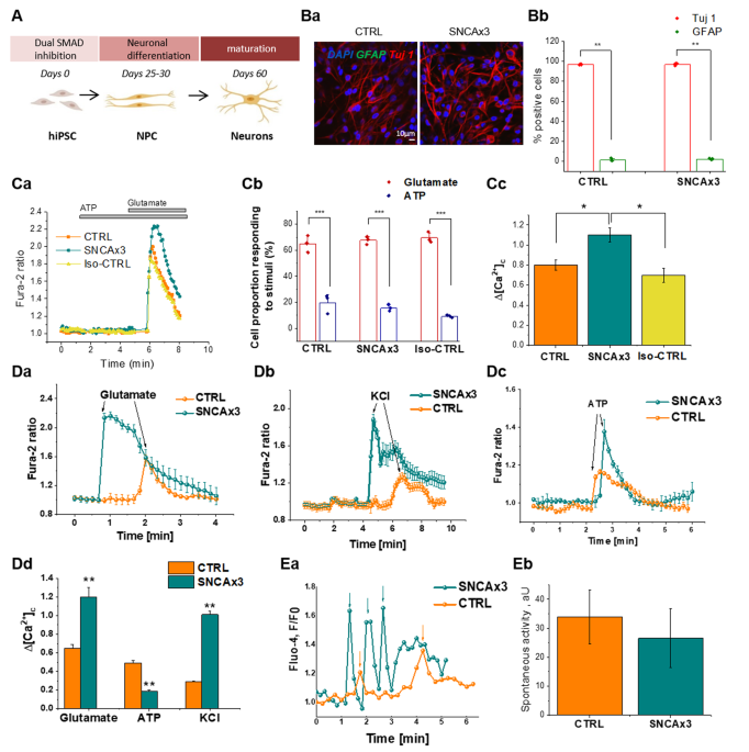 Alpha Synuclein Aggregation Drives Ferroptosis An Interplay Of Iron Calcium And Lipid Peroxidation Cell Death Differentiation