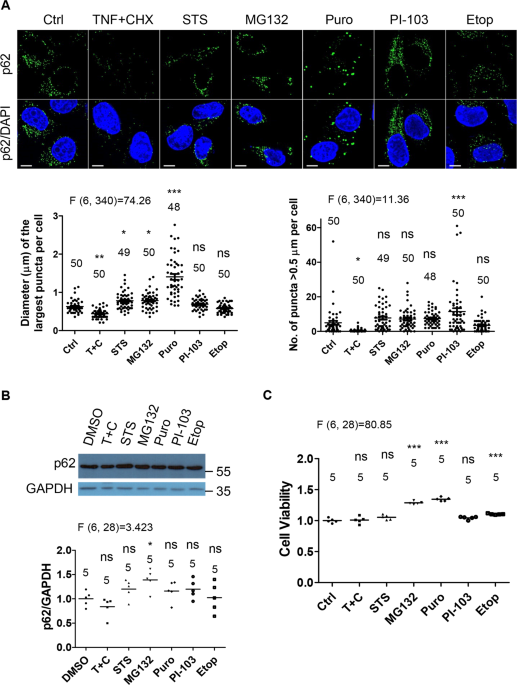 ＣＡＰA-C22 CAP 6 X 25 A-C22(ハステロイC22相当)/生地(または標準) ハステロイC22とC276合金ストリップの違い