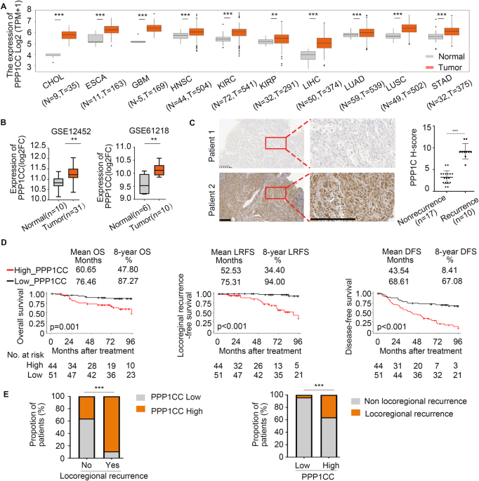 High expression of ppp1cc promotes nhej-mediated dna repair leading to radioresistance and poor prognosis in nasopharyngeal carcinoma