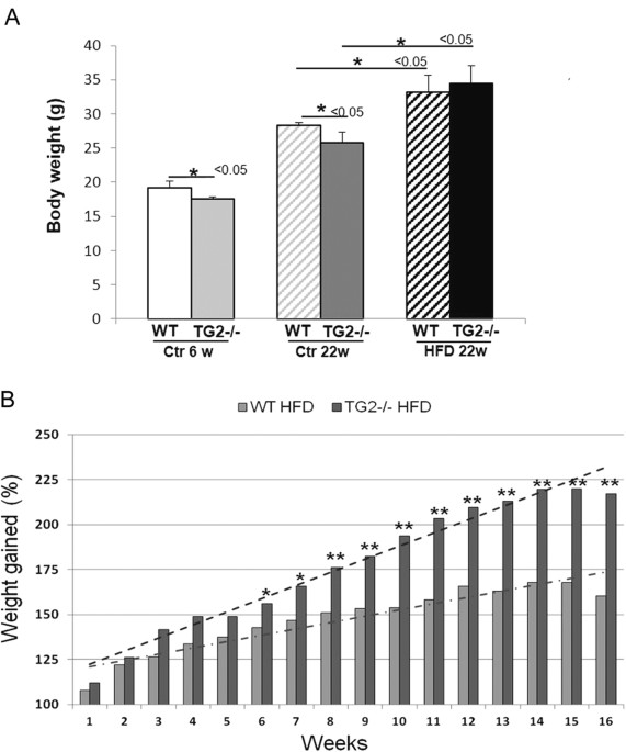 Non Alcoholic Fatty Liver Disease Severity Is Modulated By Transglutaminase Type 2 Cell Death Disease