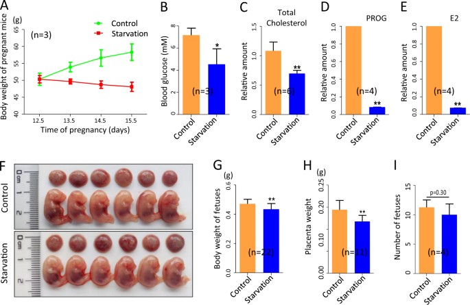 Starvation during pregnancy impairs fetal oogenesis and 