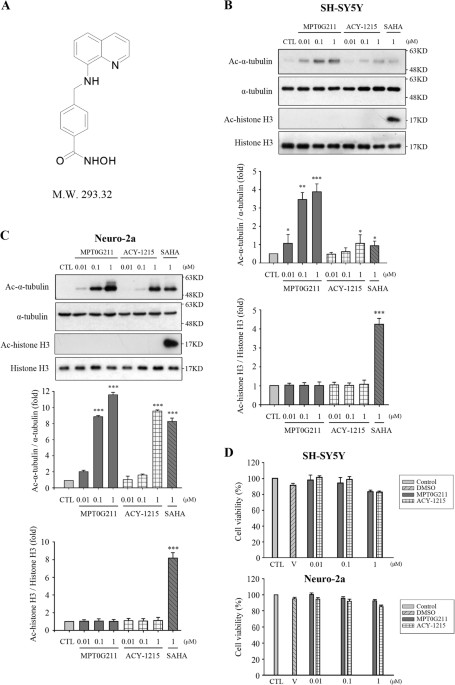The novel histone de acetylase 6 inhibitor, MPT0G211, ameliorates tau phosphorylation and cognitive 