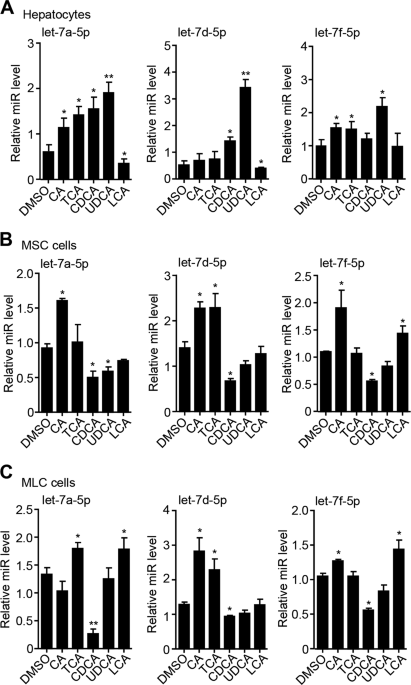 H19 potentiates let-7 family expression through reducing PTBP1 binding ...