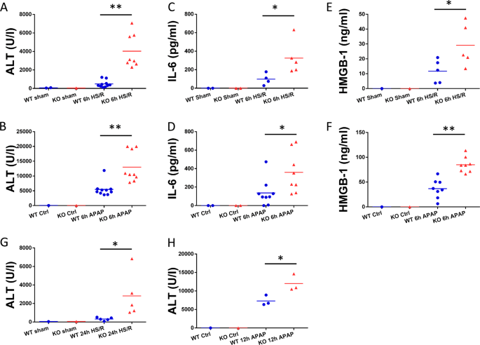 Gasdermin D Protects Against Noninfectious Liver Injury By Regulating Apoptosis And Necroptosis Cell Death Disease