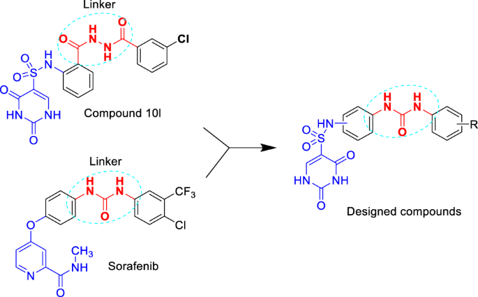 Discovery of N-phenyl-(2,4-dihydroxypyrimidine-5-sulfonamido)  phenylurea-based thymidylate synthase (TS) inhibitor as a novel  multi-effects antitumor drugs with minimal toxicity | Cell Death & Disease