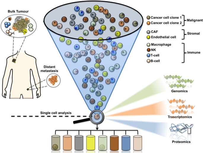 Tunable Single-Cell Extraction for Molecular Analyses: Cell