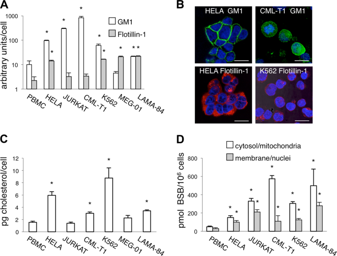 BID and the α-bisabolol-triggered cell death program: converging 