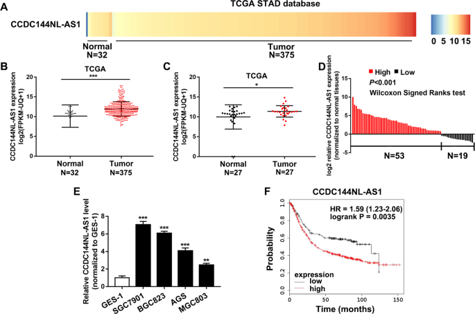 Long non-coding RNA CCDC144NL-AS1 sponges miR-143-3p and ...