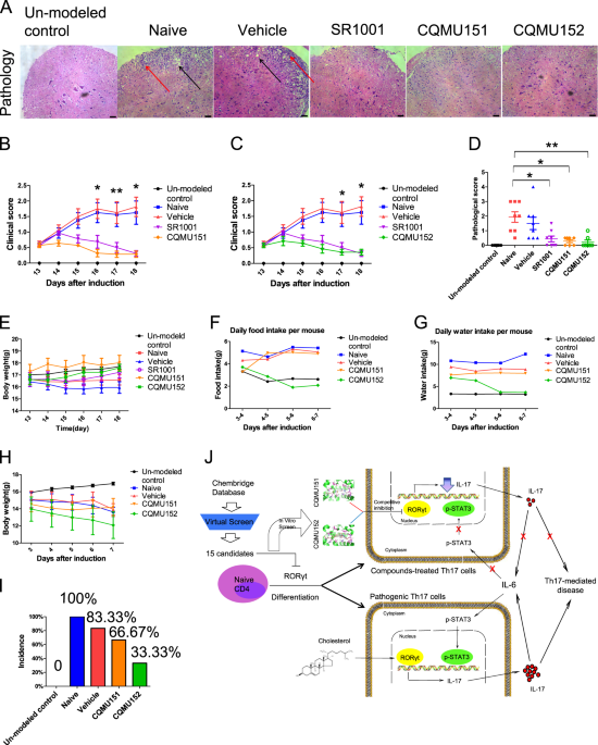 Immunization of Mice with a Live Transconjugant Shigella Hybrid Strain  Induced Th1 and Th17 Cell‐Mediated Immune Responses and Confirmed Passive  Protection Against Heterologous Shigellae - Nag - 2016 - Scandinavian  Journal of