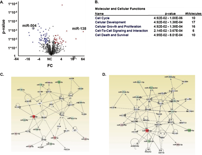 Mir-504 modulates the stemness and mesenchymal transition of glioma stem cells and their interaction with microglia via delivery by extracellular vesi