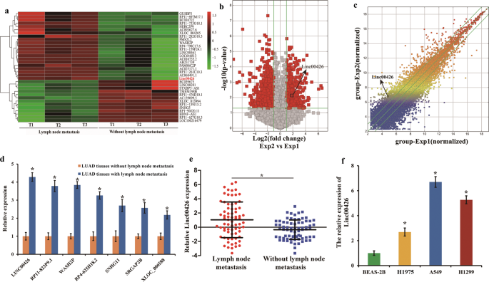 Linc00426 accelerates lung adenocarcinoma progression by regulating mir-455-5p as a molecular sponge