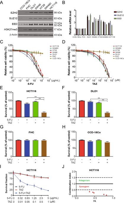 Inhibition Of Ezh2 Enhances The Therapeutic Effect Of 5 Fu Via Puma Upregulation In Colorectal Cancer Cell Death Disease