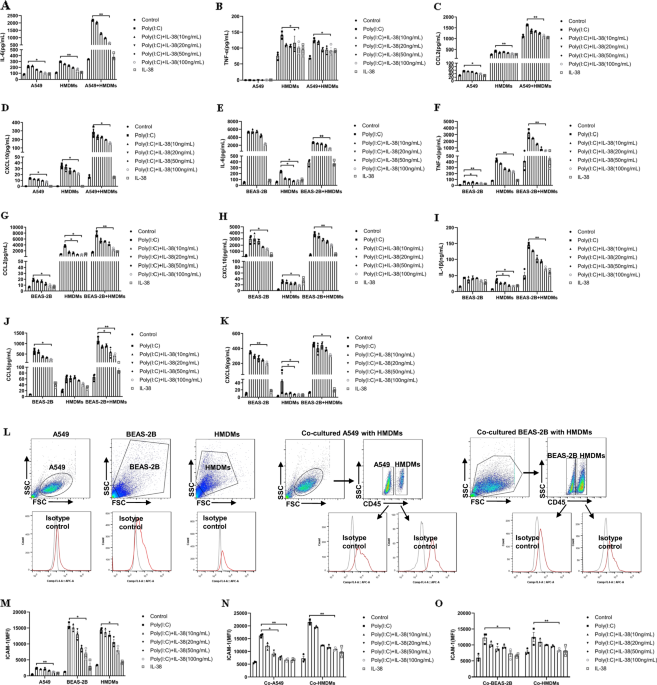 Interleukin-38 ameliorates poly(I:C) induced lung inflammation: therapeutic  implications in respiratory viral infections