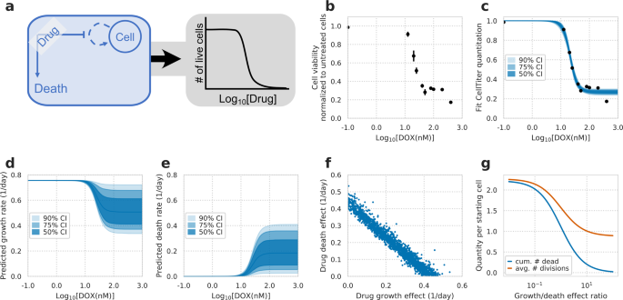 Measurement And Models Accounting For Cell Death Capture Hidden Variation In Compound Response Cell Death Disease Measurement And Models Accounting For Cell Death Capture Hidden Variation In Compound Response Cell Death Disease