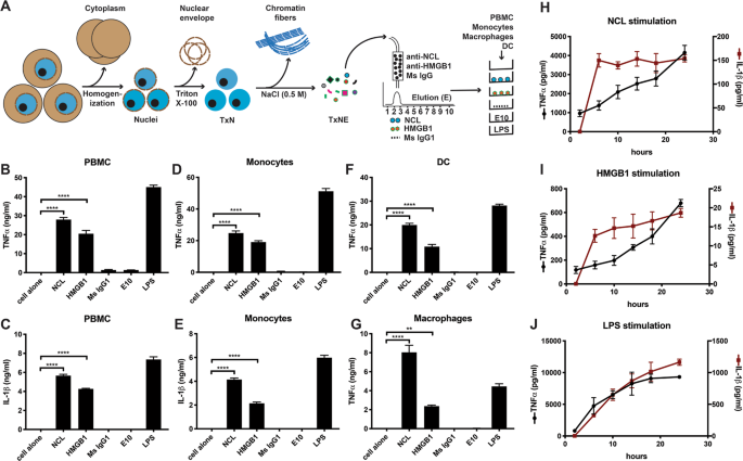 The Gar Rgg Motif Defines A Family Of Nuclear Alarmins Cell Death Disease
