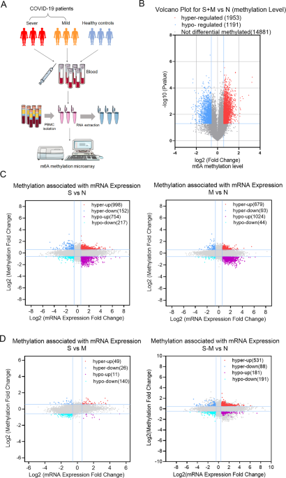 RBM15-mediated N6-methyladenos...