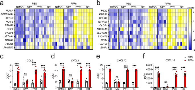 Fibrillar α-synuclein induces neurotoxic astrocyte activation via rip kinase signaling and nf-κb